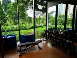 Irwell Hill Residences (D9), Apartment #455649481